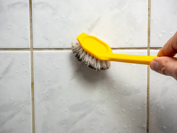 Best Mold Inspection  in Magnolia, NC