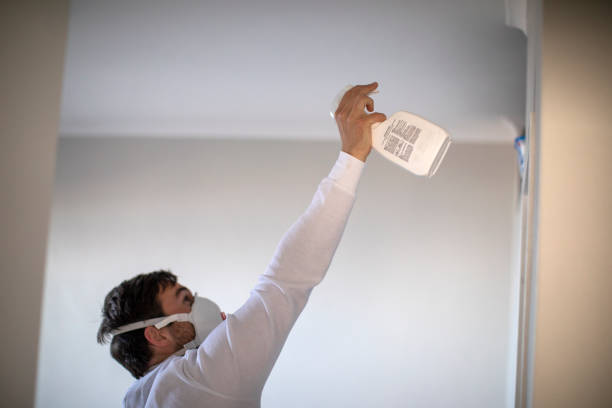 Best Attic Mold Removal  in Magnolia, NC