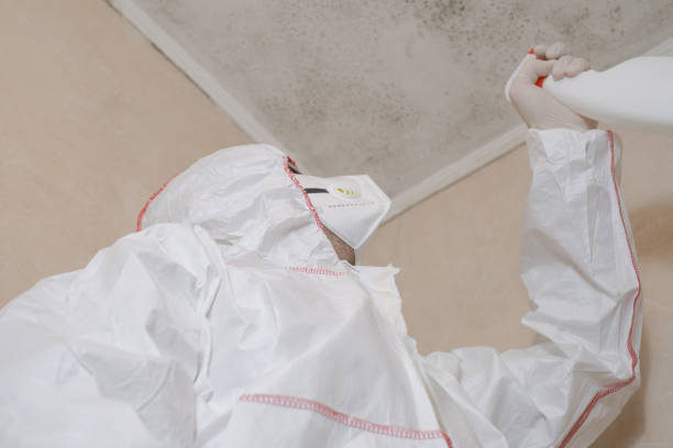 Best Mold Testing  in Magnolia, NC